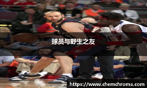 球员与野生之友